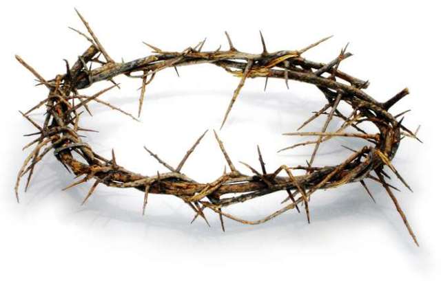 crown-of-thorns-lg